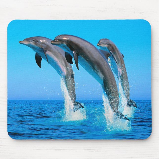 Dolphins Mouse Pad (Front)