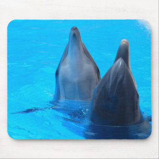 Dolphins mousepad