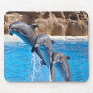 Dolphins mousepad