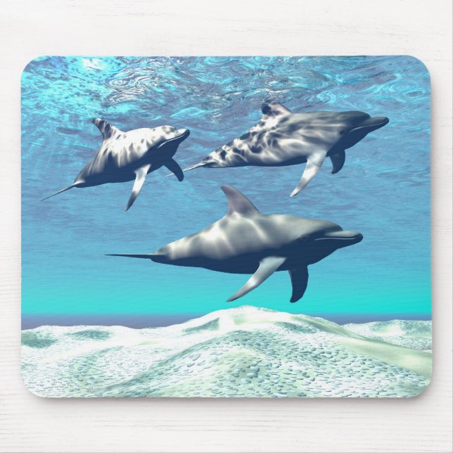 DOLPHINS  MOUSEPAD (Front)