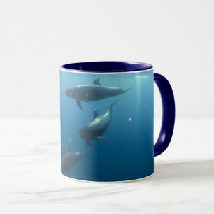 Dolphins mug