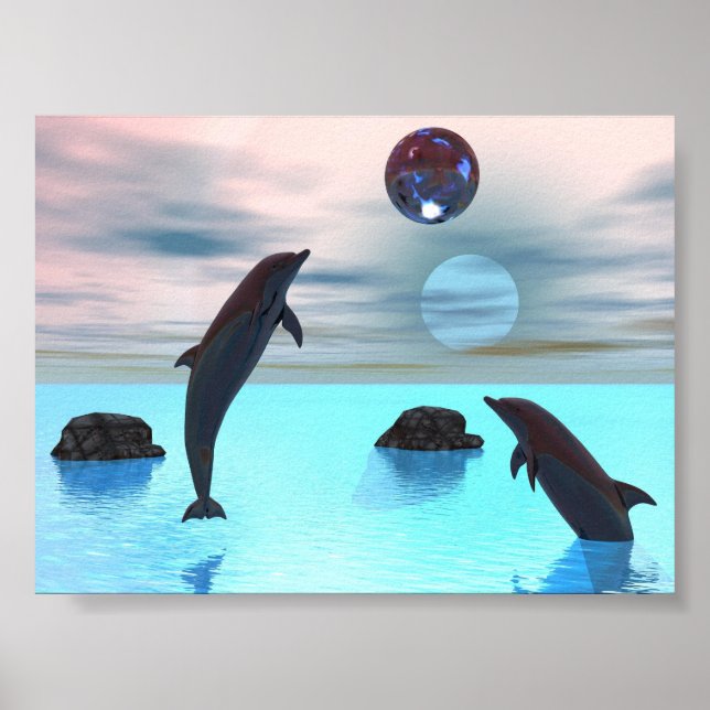 Dolphins Night Poster (Front)