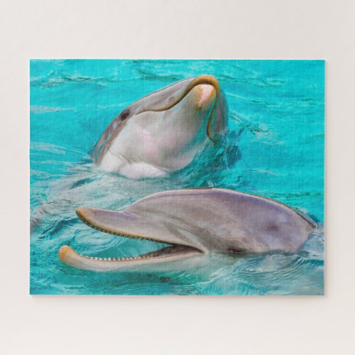 Dolphins of the seas jigsaw puzzle
