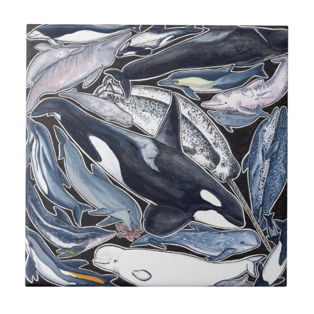 Dolphins, orcas, belugas and narvales tile (Front)