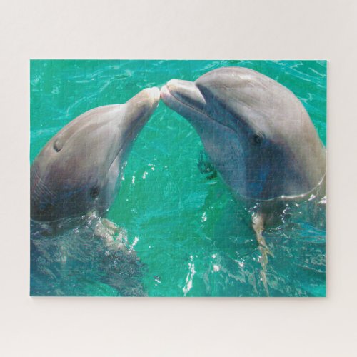 Dolphins our beautiful friends jigsaw puzzle