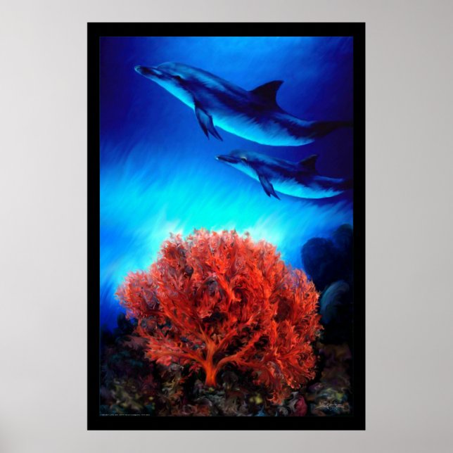 Dolphins over corals poster (Front)