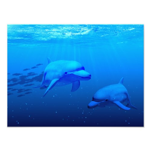 Dolphins Photo Print