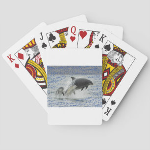 Dolphins Poker Cards