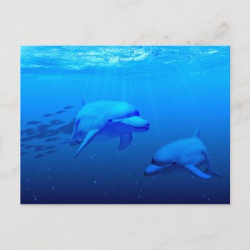 Dolphins Postcard by CaptainScratch at Zazzle