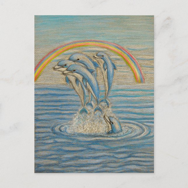 Dolphins Postcard (Front)