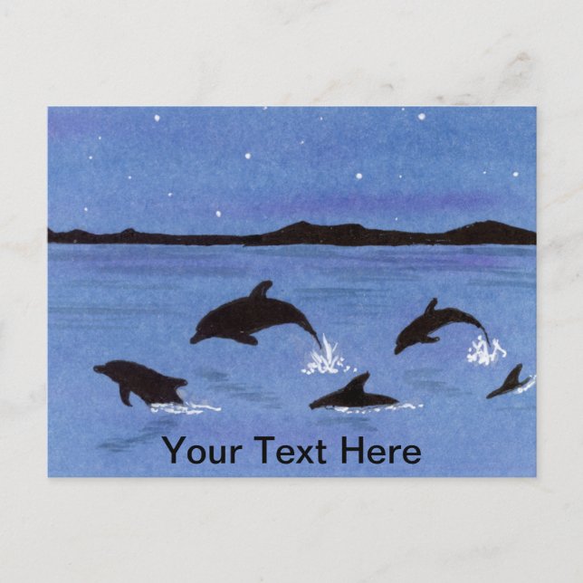 Dolphins Postcard (Front)