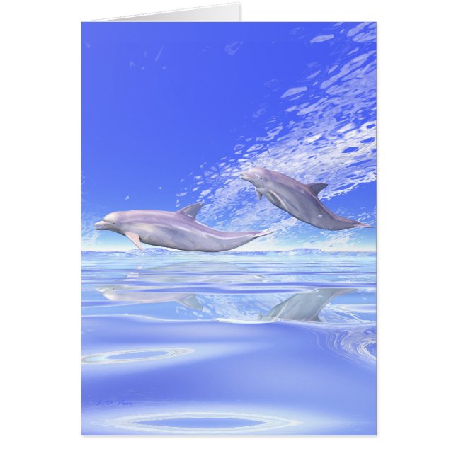 Dolphins Racing Card (Front)