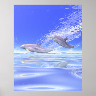 Dolphins Racing Poster