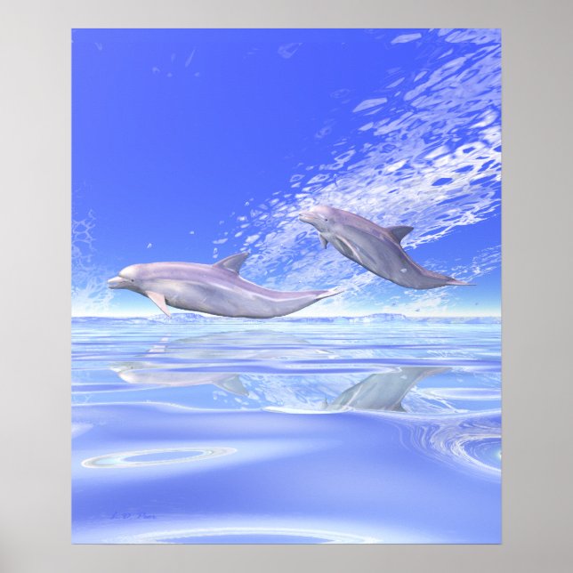 Dolphins Racing Poster (Front)