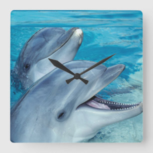 dolphins square wall clock