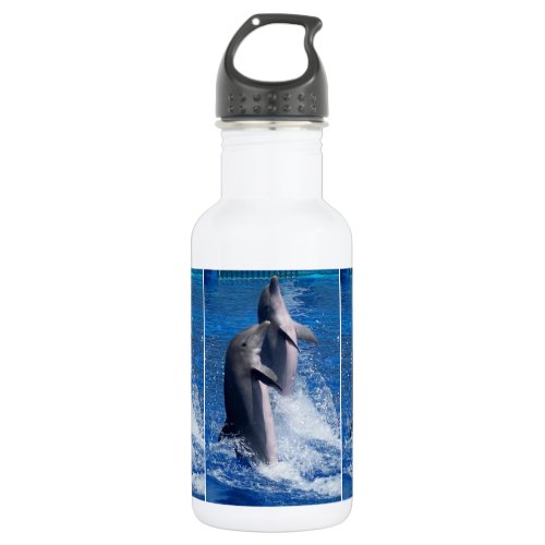 Dolphins Stainless Steel Water Bottle