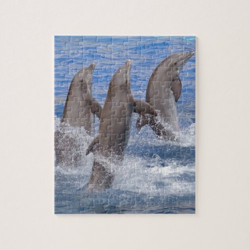 Dolphins standing out of the water jigsaw puzzle