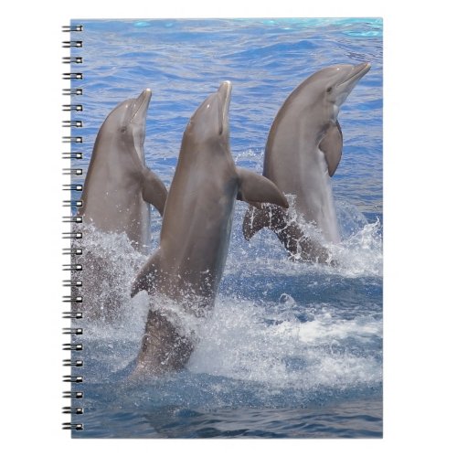 Dolphins standing out of the water notebook