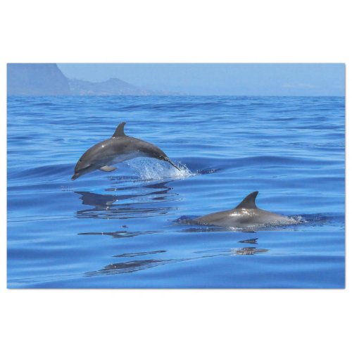 Dolphins Swimming Ocean Decoupage Tissue Paper