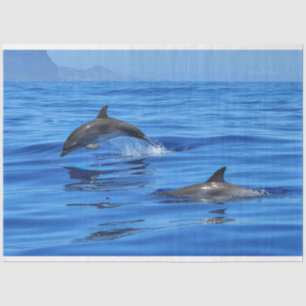 Dolphins Swimming Ocean Decoupage Tissue Paper