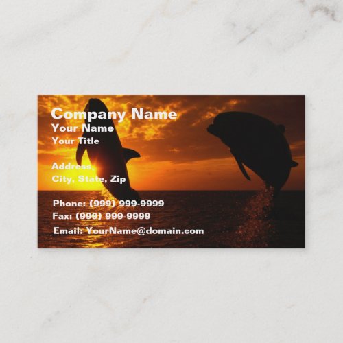Dolphins Symphony at Sunset Business Card Templates