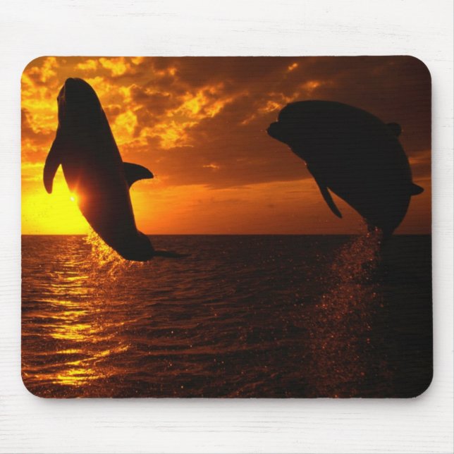 Dolphins Symphony at Sunset Mouse Pad (Front)