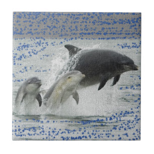 Dolphins Tile