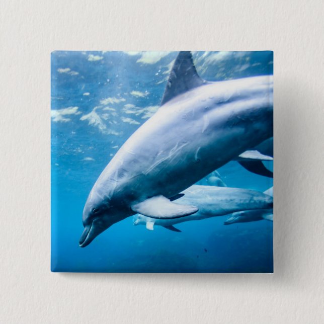 Dolphins Underwater Button (Front)