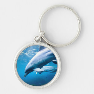 Dolphins Underwater Keychain