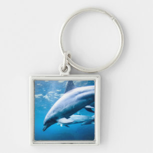 Dolphins Underwater Keychain