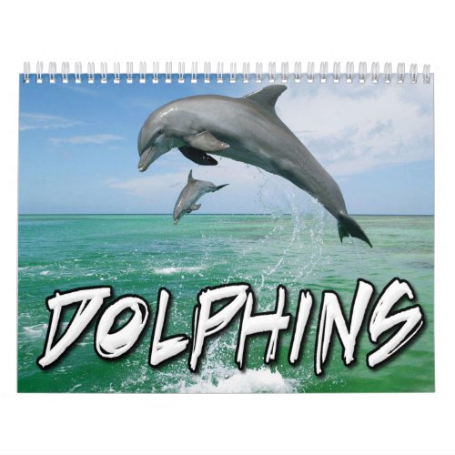 Dolphins Wall Calendar