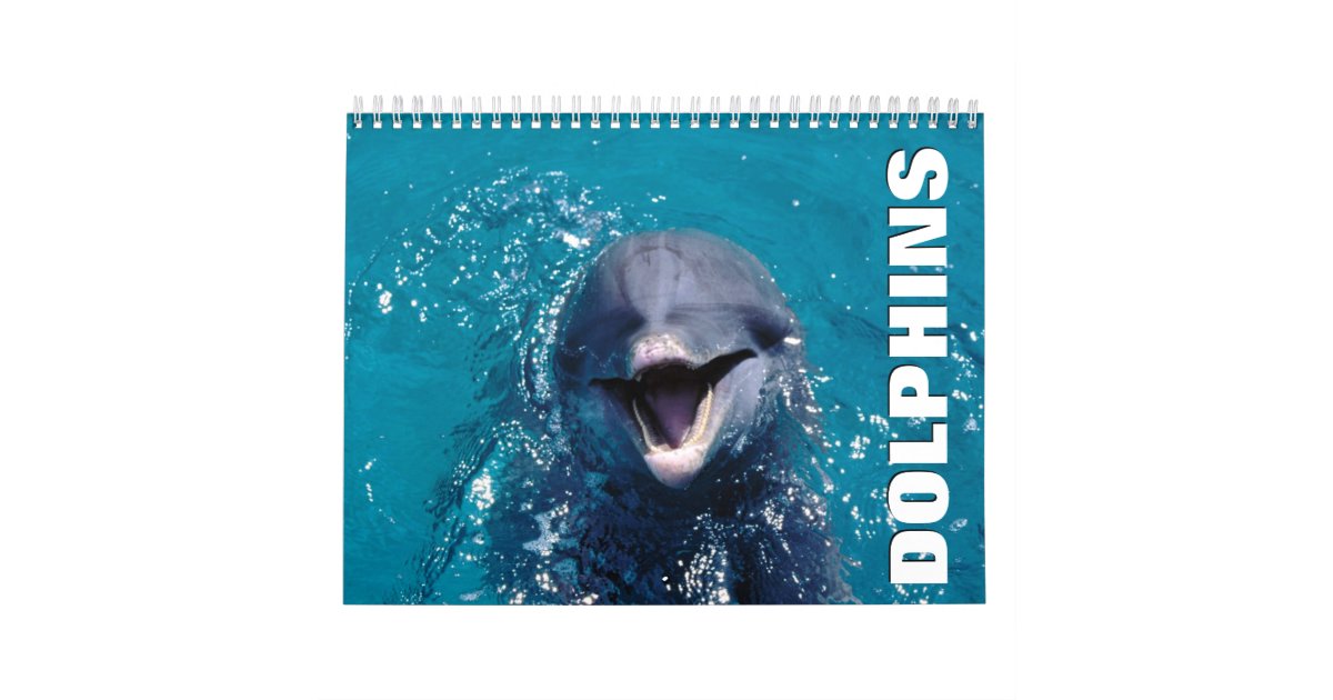 Dolphins Wall Calendar | Zazzle.com