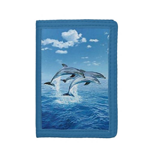 Dolphins Wallet | Zazzle