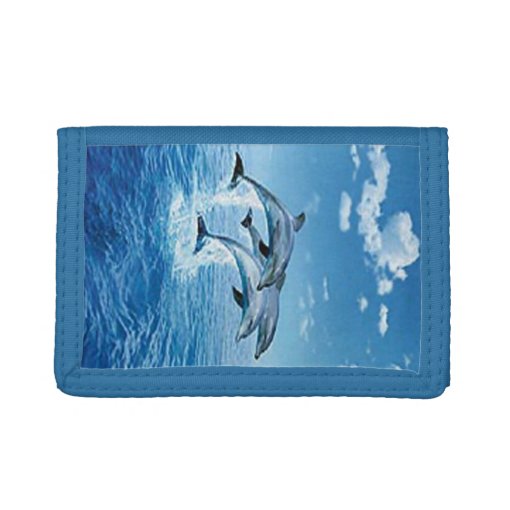 Dolphins Wallet | Zazzle