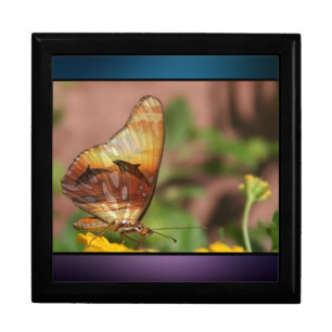 Dolphins Wings. Monarch Butterfly Jewelry Box