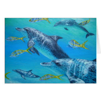 dolphinswithsnappers cards