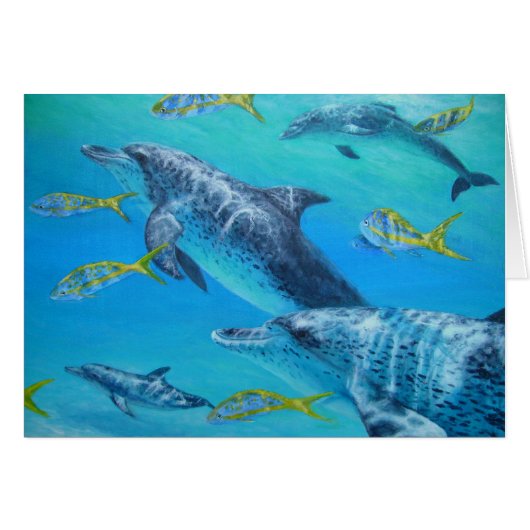 dolphinswithsnappers cards (Front Horizontal)