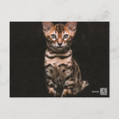 Domestic Cat Kitten Leopard Spots Custom Text Postcard (Back)