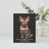 Domestic Cat Kitten Leopard Spots Custom Text Postcard (Standing Front)