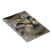 Domestic cat notebook (Right Side)