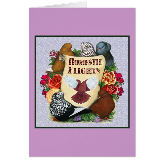 Domestic Flight Scroll (Front)