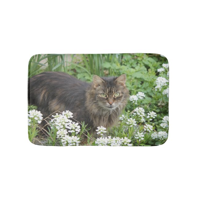 Domestic Long-Haired Cat Bath Mat (Front)