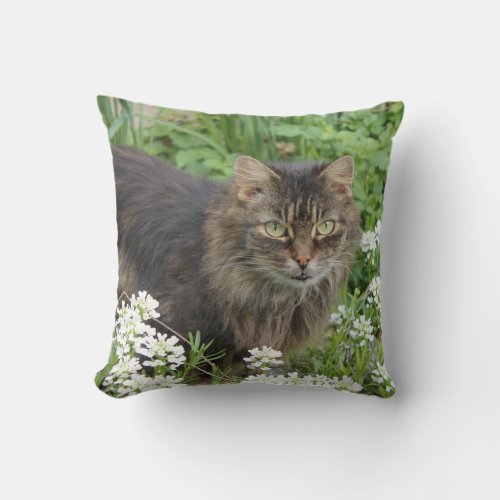 Domestic Long_Haired Cat Throw Pillow