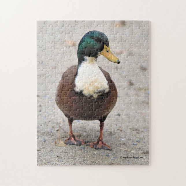 Domestic Mallard Duclair Bibbed Odd Duck Jigsaw Puzzle (Vertical)