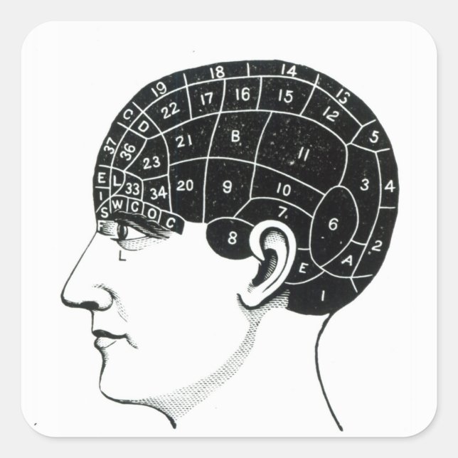 Domestic Propensities Square Sticker (Front)