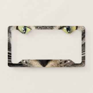 Domestic Short Hair License Frame