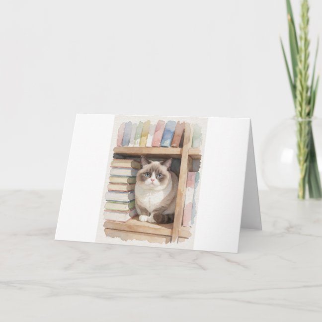 Domestic Shorthair Bookshelf Hideaway Greeting Car Card