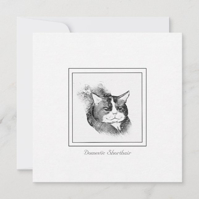 Domestic Shorthair Cat Chalk & Charcoal Sketch Note Card (Front)