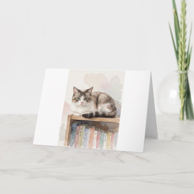 Domestic Shorthair Curled On The Bookshelf Top Gre Card