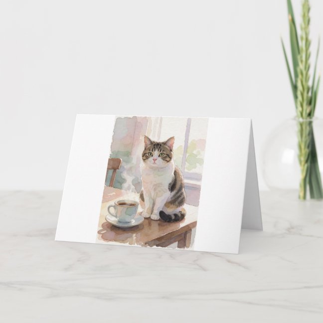 Domestic Shorthair Cat Collection — preview